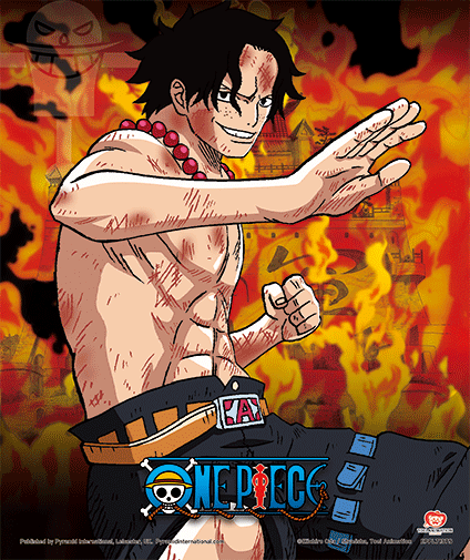 Póster 3D One Piece Brothers Burning Rage