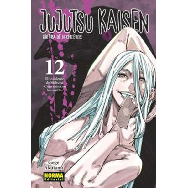 Jujutsu Kaisen Vol.12