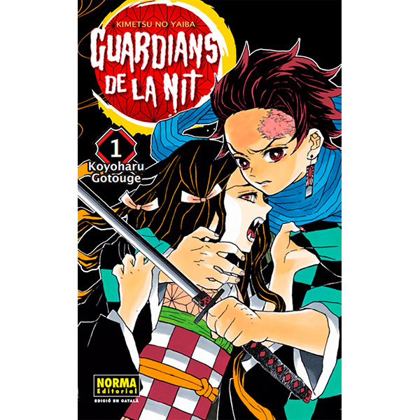 Guardians de la Nit Vol. 01