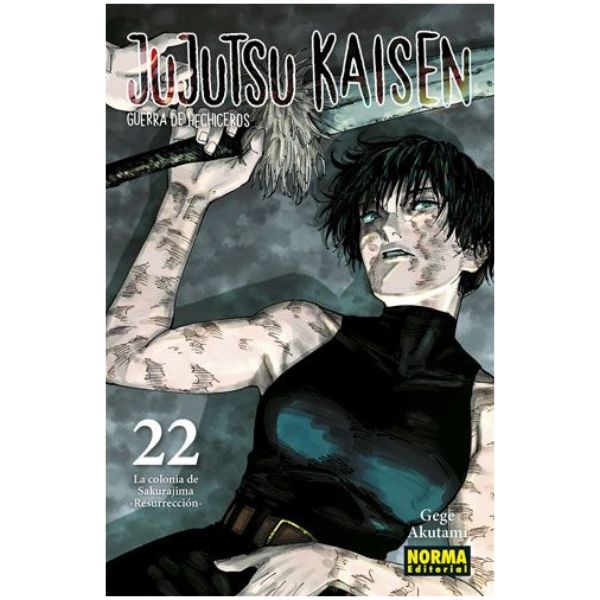 Jujutsu Kaisen Vol.22 